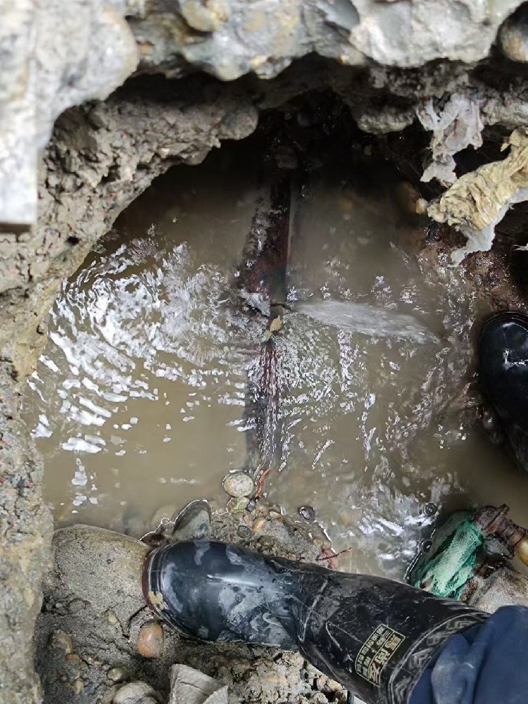 牧野地区绿化水管漏水检测维修